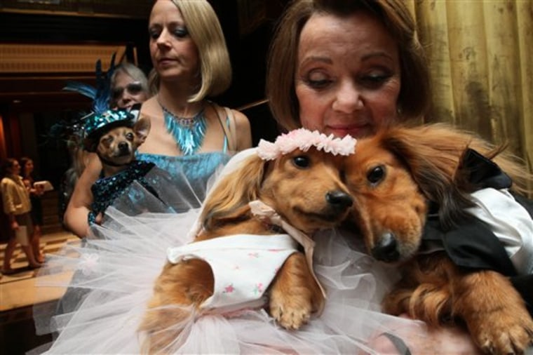 Dachshunds dressed for the occasion, Dee Dee, foreground left, and her cousin Clifford, foreground right, are held by their owner Valerie Diker, as they and other dogs and people wait for the start of the most expensive wedding for pets Thursday July 12, 2012 in New York.  The black tie fundraiser, where two dogs were \"married\", was held to benefit the Humane Society of New York. Dee Dee and Clifford were part of the wedding party. (AP Photo/Tina Fineberg)